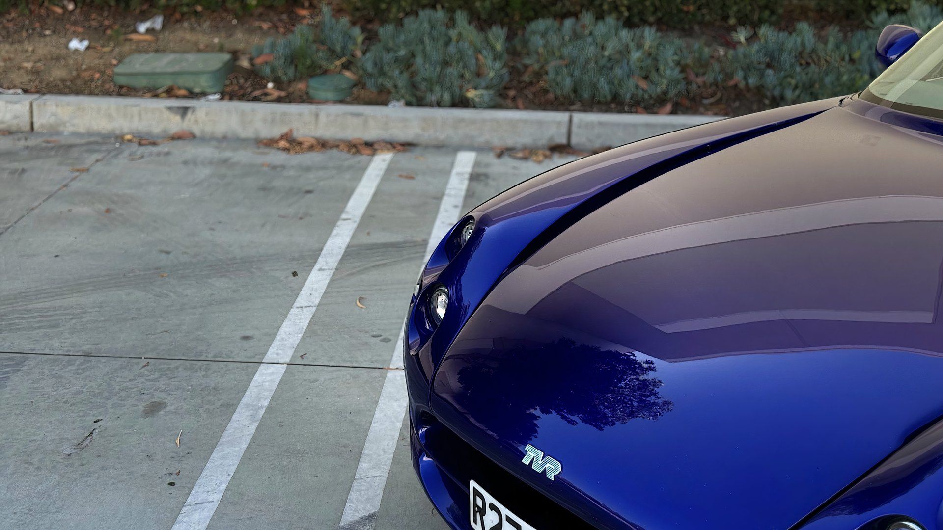 The Forgotten British Sports Car That Rivaled Porsche